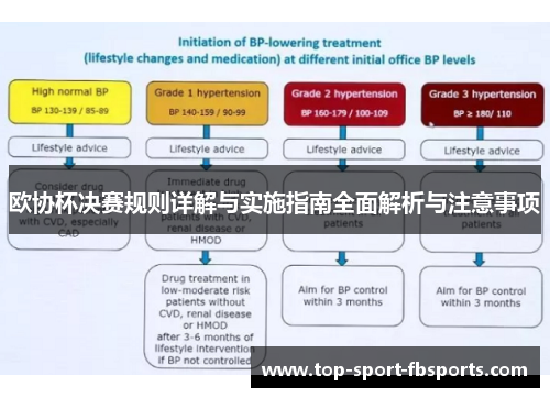欧协杯决赛规则详解与实施指南全面解析与注意事项